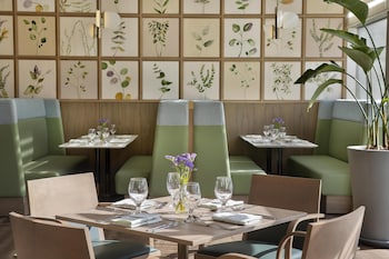 signia by hilton amman