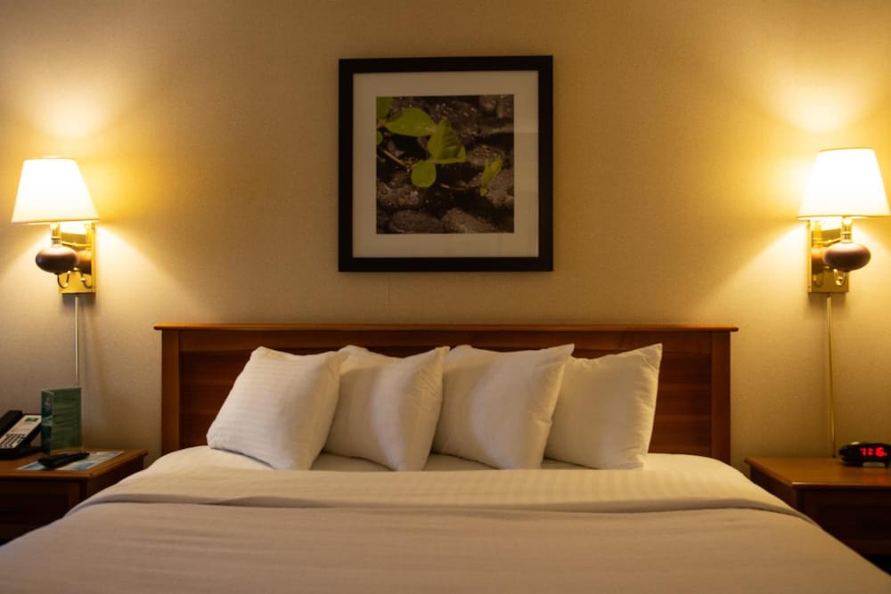 holiday lodge hotel and conference center