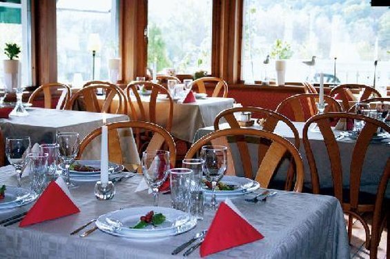 treetop spa hangout and hotel