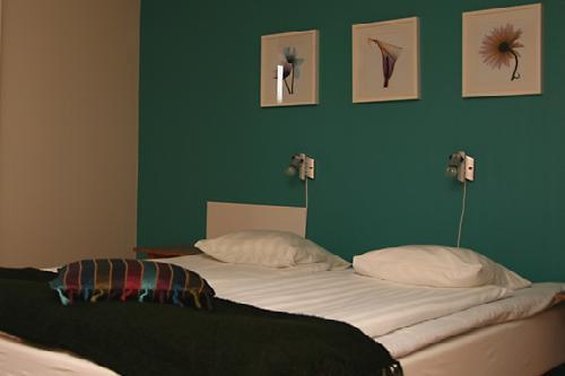 treetop spa hangout and hotel