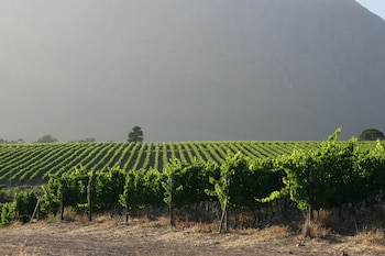 boschendal farm estate