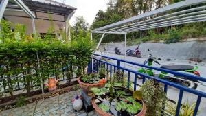 runa runa guesthouse