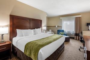 comfort inn and suites pueblo