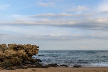 chakas cove