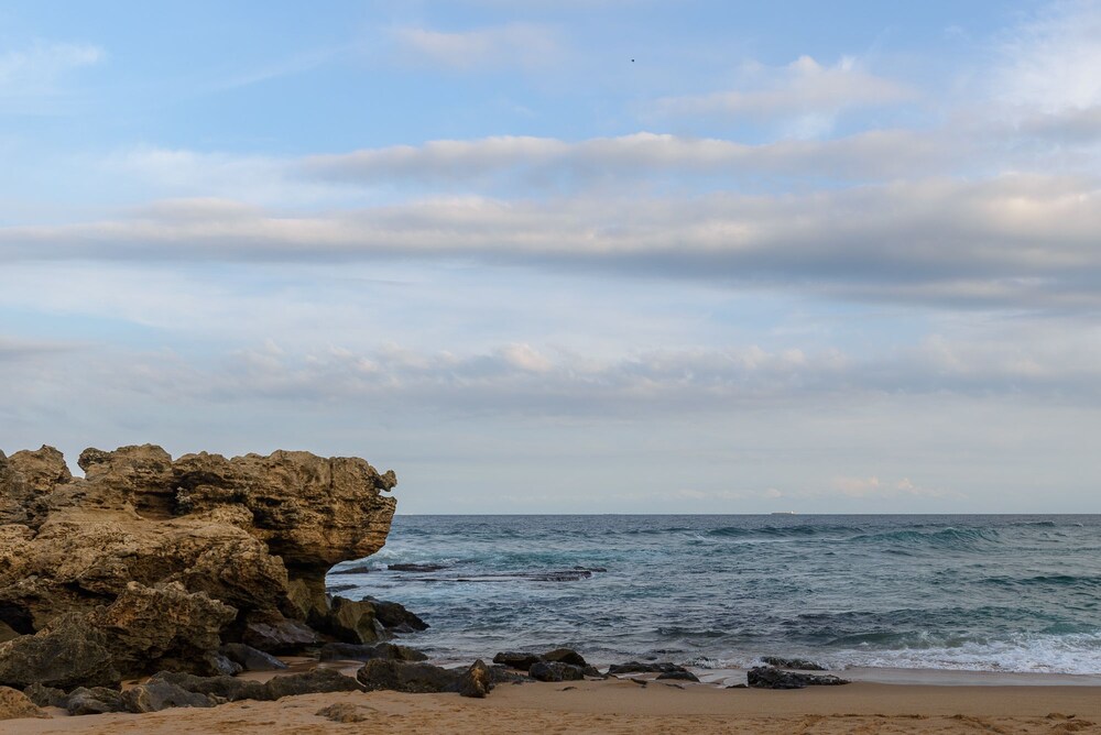 chakas cove