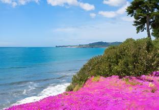 the inn at east beach