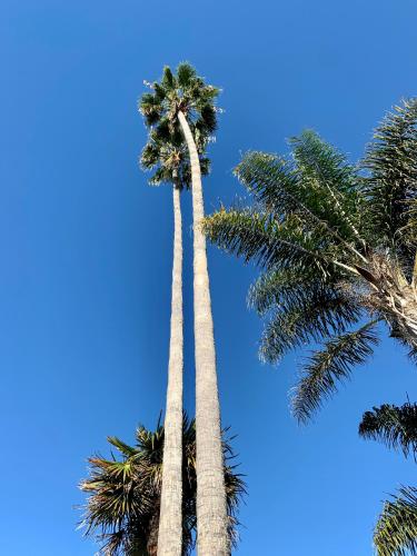 the inn at east beach
