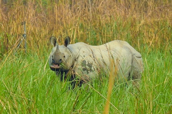 sapana village lodge