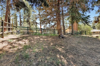 three bears cabin 1574 by big bear vacations
