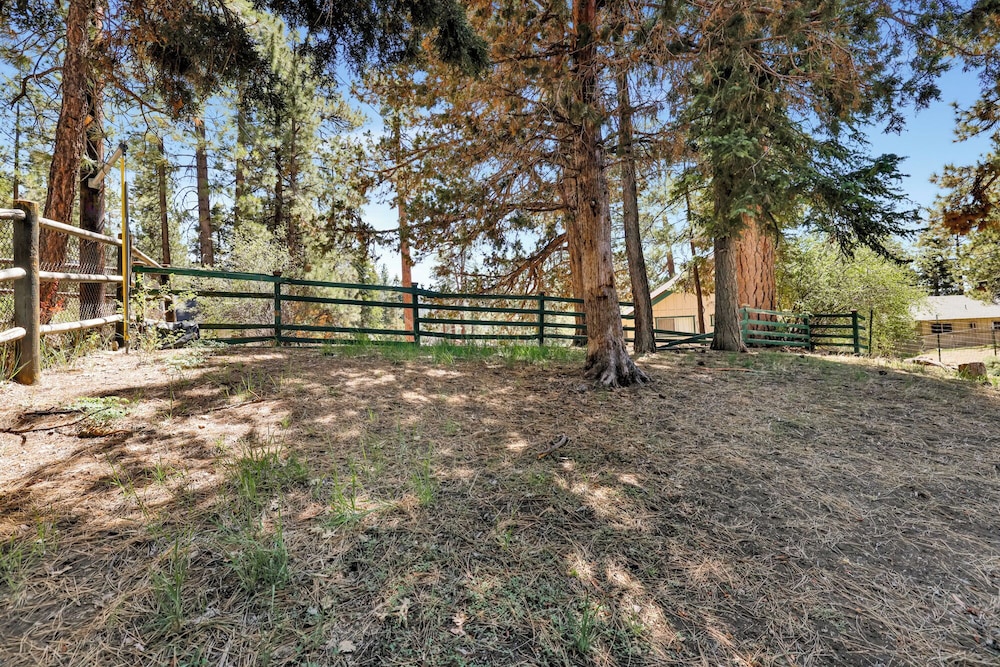 three bears cabin 1574 by big bear vacations