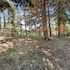 three bears cabin 1574 by big bear vacations