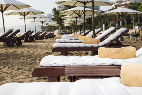 ttc hotel michelia