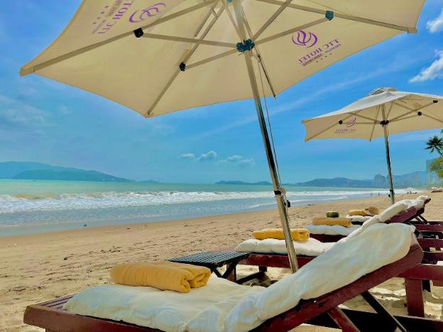 ttc hotel michelia