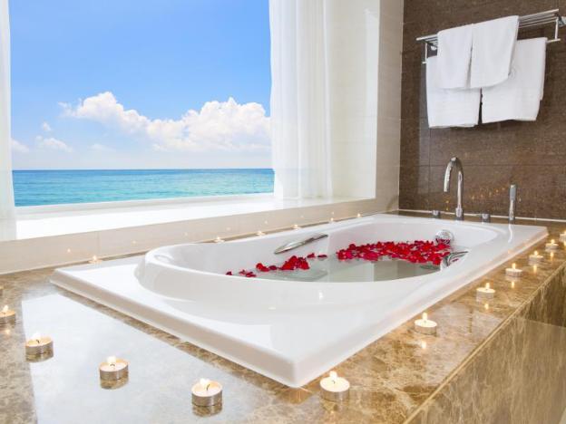 ttc hotel michelia