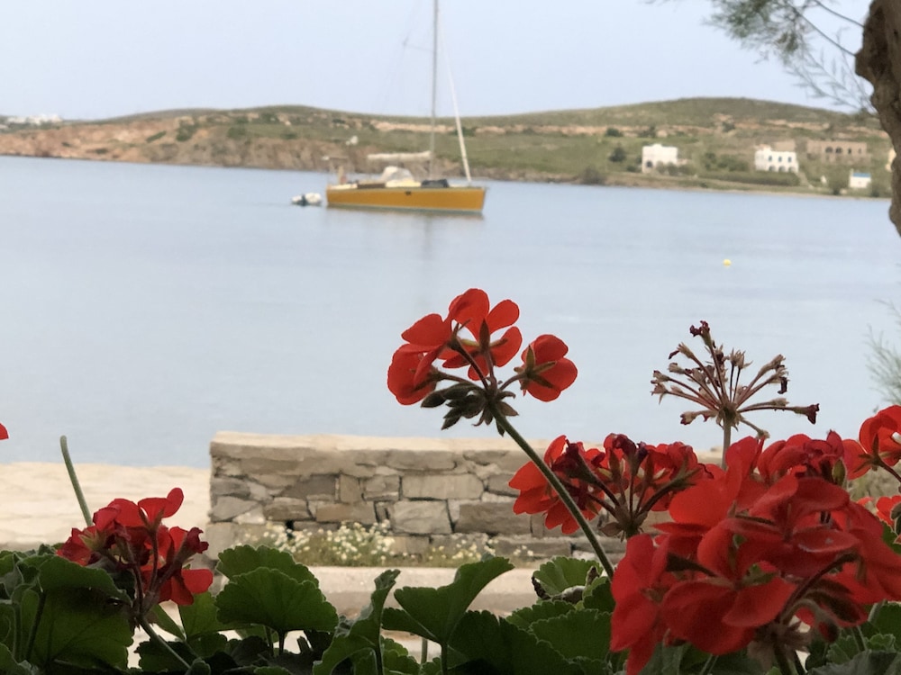 hotel paros