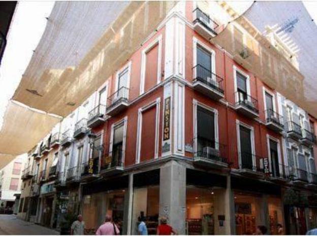 pension mesones