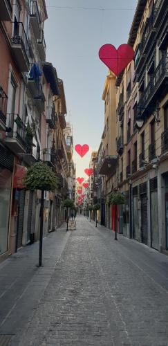 pension mesones