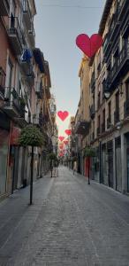 pension mesones
