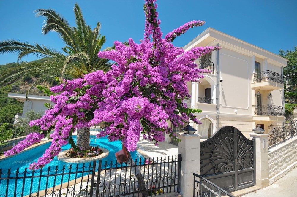 st george apartments and villa with pool