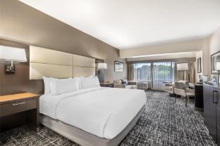 doubletree by hilton williamsburg