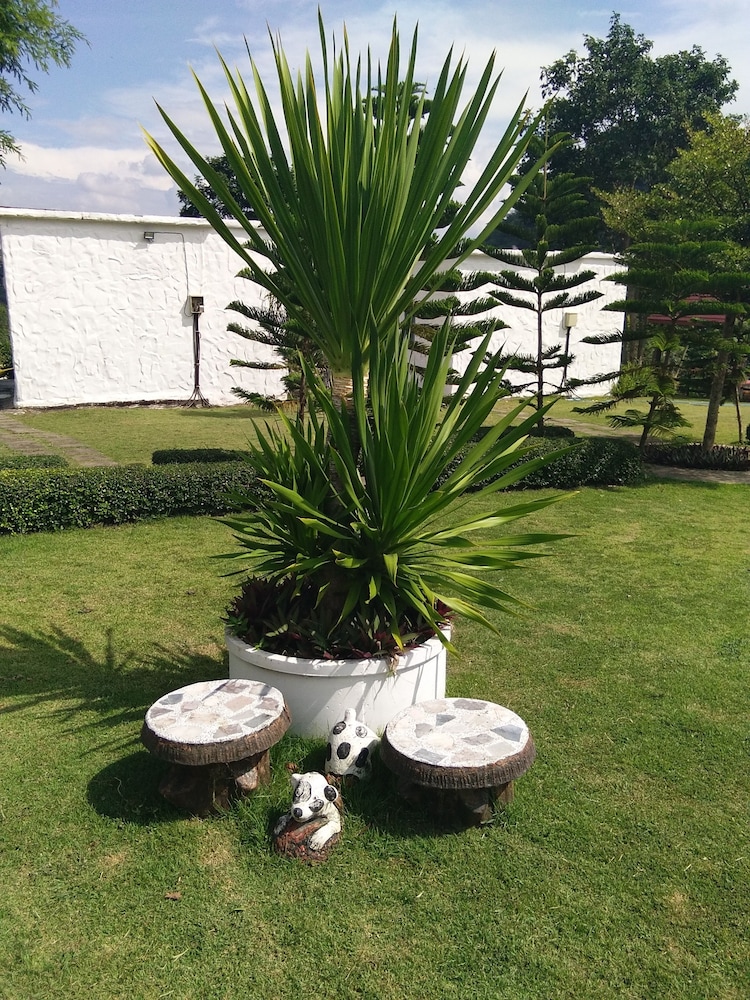 whiterock resort pakchong