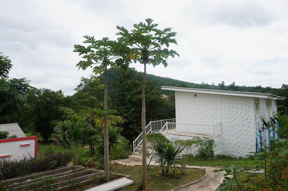 whiterock resort pakchong