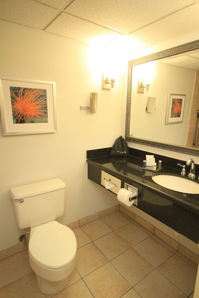 doubletree by hilton corpus christi beachfront
