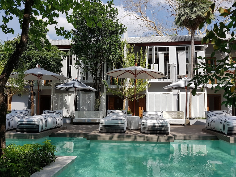 treevana club chiangmai