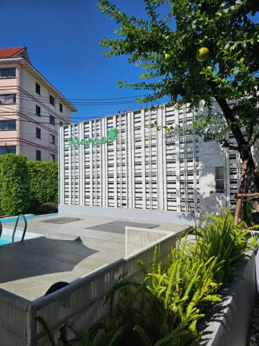 treevana club chiangmai