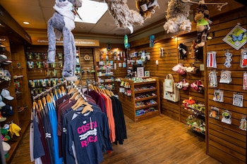 hampton by hilton san jose airport