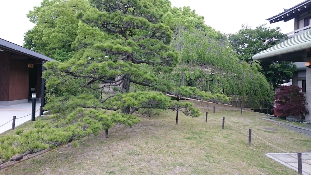 kyounoyado senkakubettei