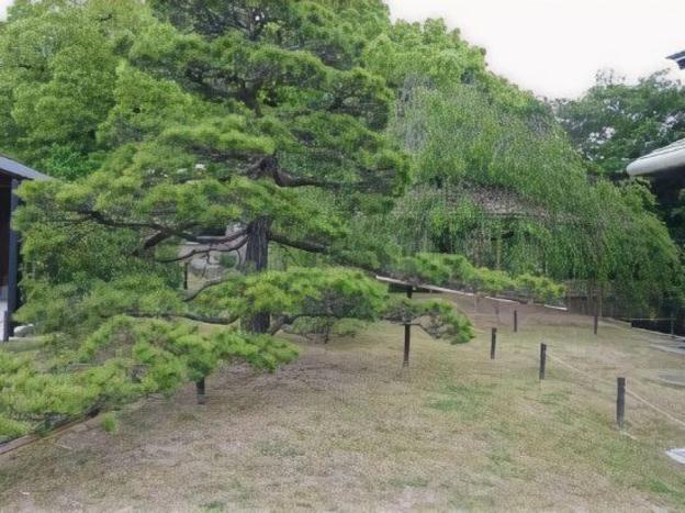 kyoto