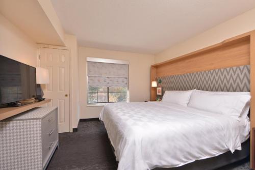 holiday inn hotel and suites raleigh cary by ihg