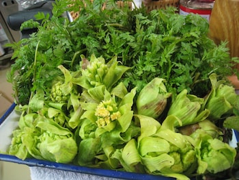 gokayama ryokan yoshinoya