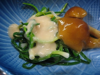 gokayama ryokan yoshinoya