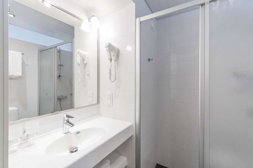 scandic atrium