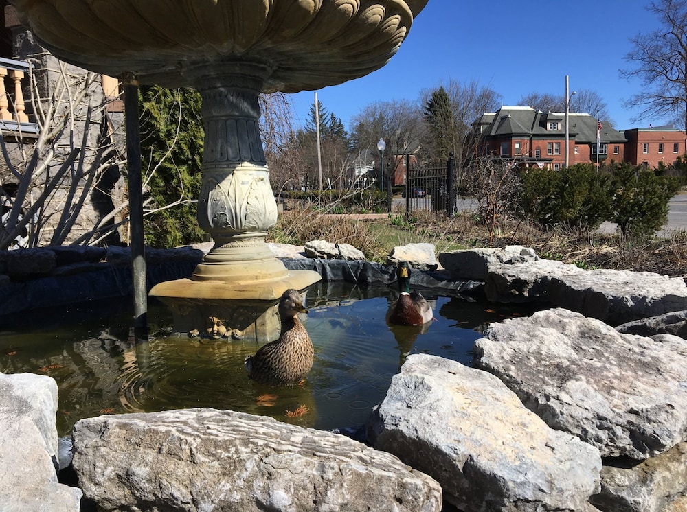 saratoga springs