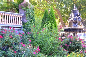 saratoga springs