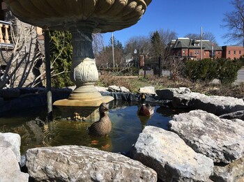 saratoga springs