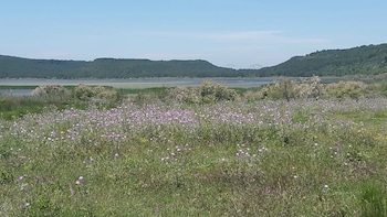 brit hotel martigues nord