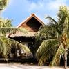 gili meno