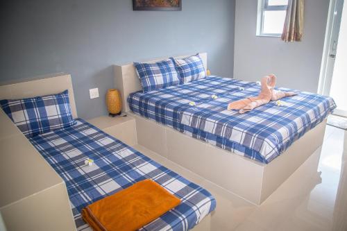 mui ne hills budget hotel