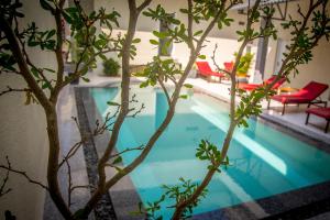 mui ne hills budget hotel