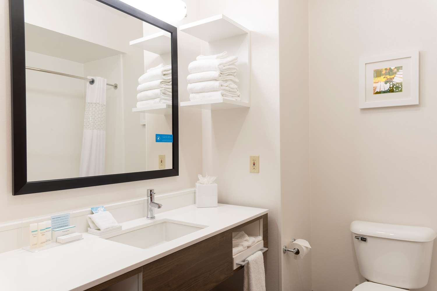 hampton inn and suites east lansing okemos