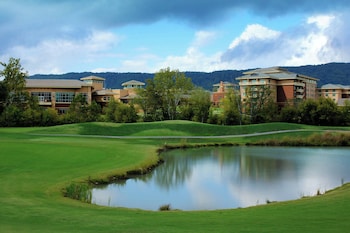 meadowview conference resort and convention center