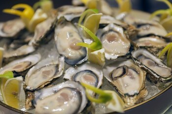 yatter international convention center