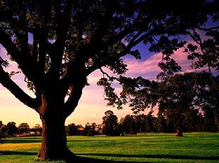 Meon Valley Hotel, Golf & Country Club,Near Wickham Park Golf Club,4 star