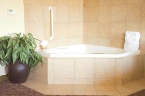 hampton inn and suites college station