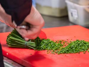 ibis nantes treillieres