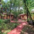 cabanas del lenador